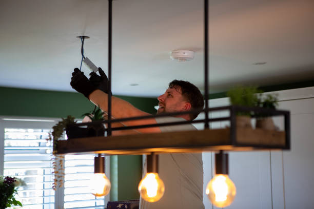 Best Electric Panel Repair  in Renovo, PA